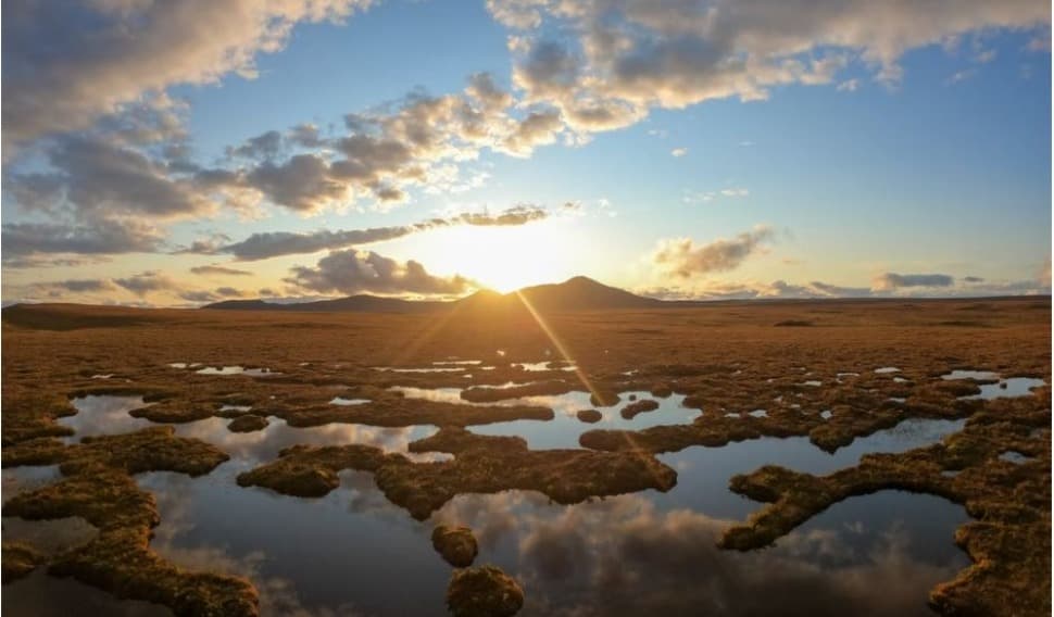Peat marsh in Scotland Peat marsh in Scotland
